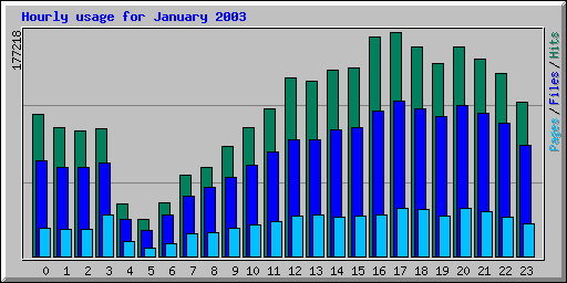 Hourly usage for January 2003
