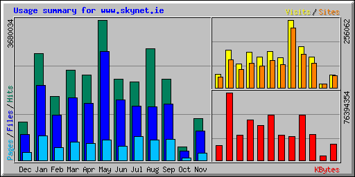 Usage summary for www.skynet.ie